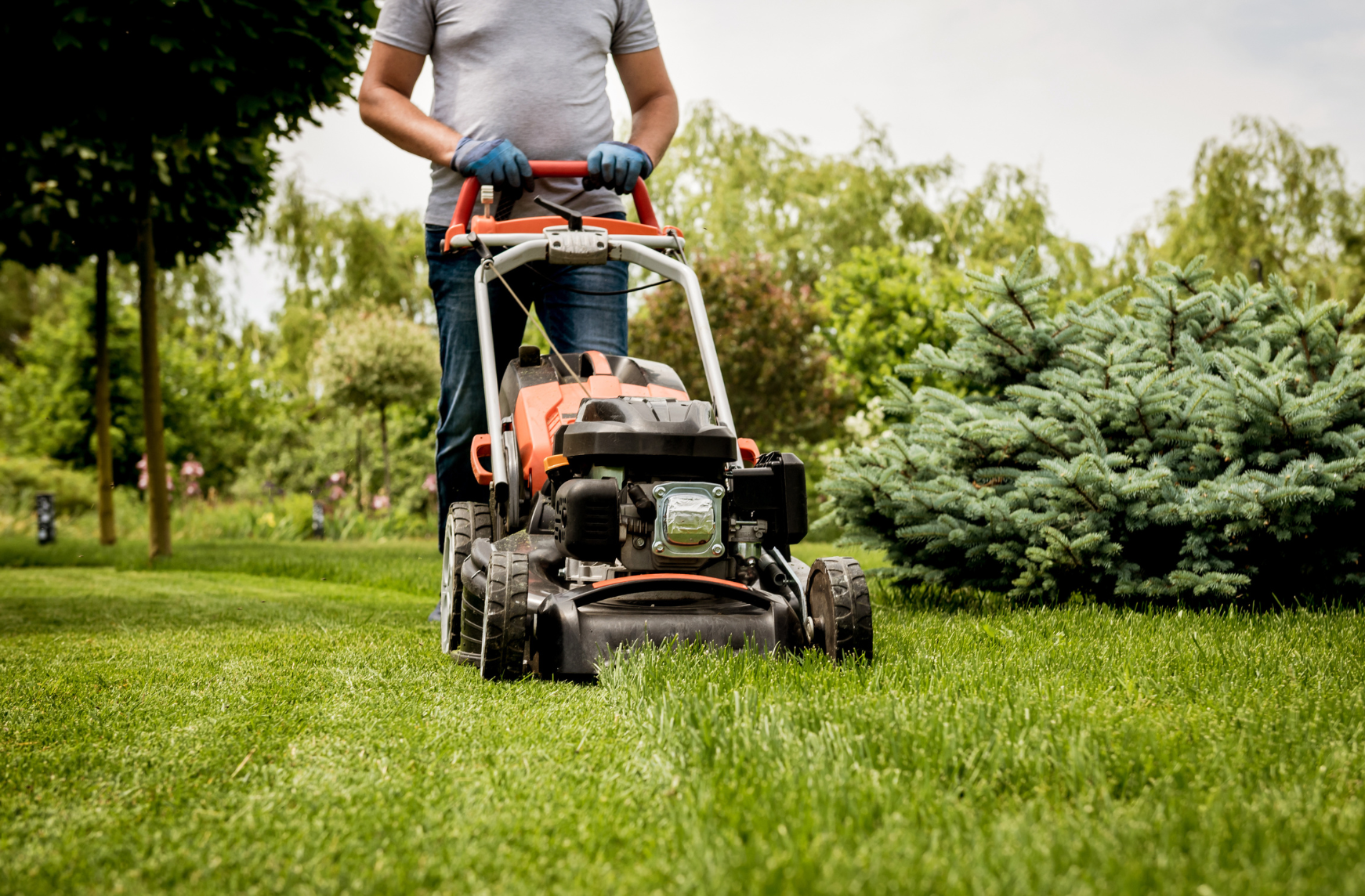 Paysagiste qui tond la pelouse d'un jardin