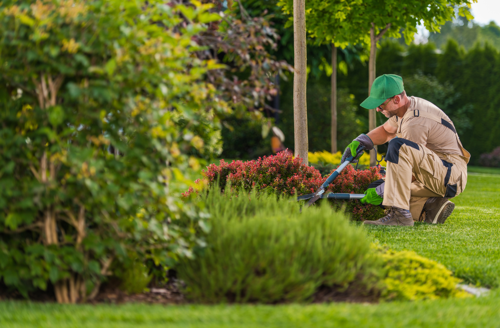 Entretien de son jardin