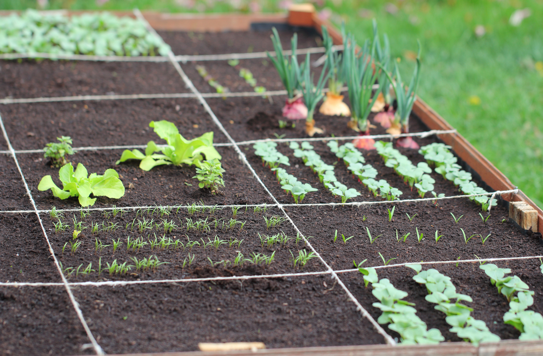 Apport d'engrais et amendement organique